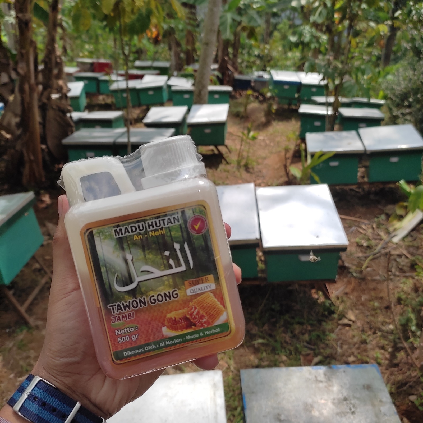 madu murni an nahl